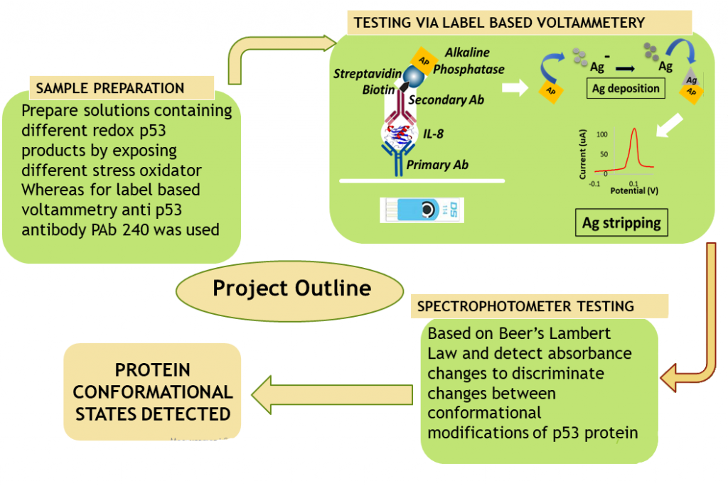 Spectrophotometer measurements to characterize the conformational state
